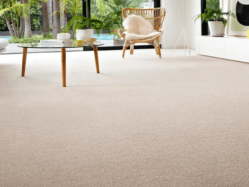 Wool Carpets in Placerville, CA